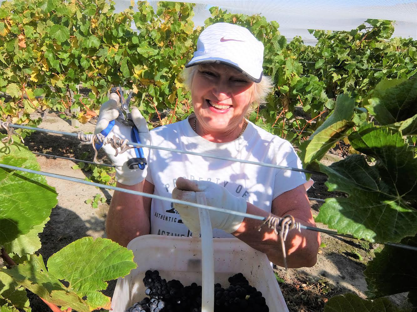 Jennifer Dunbar - DUNBAR ESTATES Ngatimoti Cellar Door, Café and Vineyard Accommodation